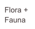 Flora + Fauna